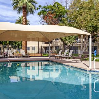 An outdoor swimming pool with a canopy, surrounded by palm trees and lounge chairs.