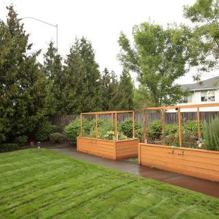A well-maintained garden with raised beds and a freshly cut lawn.