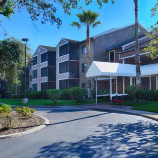 A modern hotel building surrounded by trees and a landscaped driveway.
