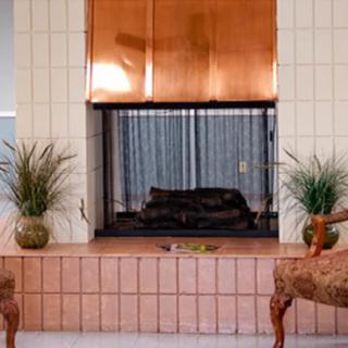 A modern living room with a central fireplace, flanked by two potted plants and chairs.