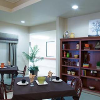 A cozy dining area with a table set for two, surrounded by decorated shelves and indoor plants.