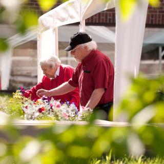 Two elderly individuals tending to a garden under a canopy, enjoying a sunny day outdoors.