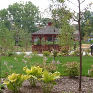 A serene garden with a wooden gazebo surrounded by lush greenery.