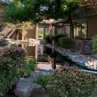 A tranquil garden scene featuring a small pond, lush greenery, and a building in the background.