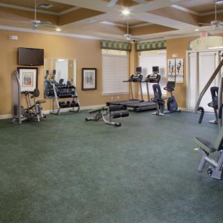 A spacious gym with various exercise equipment and treadmills.