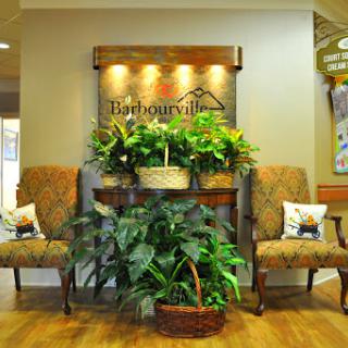 A welcoming lobby with comfortable seating and vibrant plants, creating a warm and inviting atmosphere.