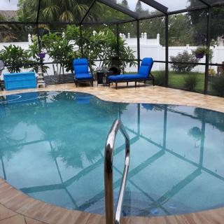 A serene backyard pool area with blue lounge chairs and tropical plants.