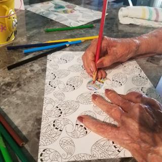 A close-up of hands coloring in a patterned design with colored pencils, showcasing the joy of creative expression.