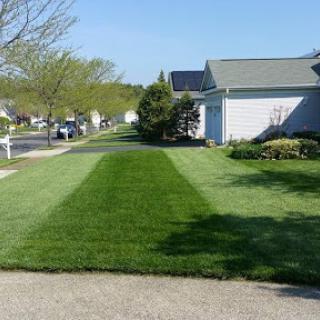 A beautifully manicured lawn showcasing crisp stripes in a residential neighborhood.