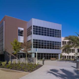 A modern building with large glass windows and palm trees in an outdoor setting.