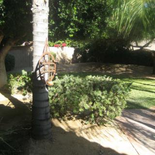 A serene garden scene with lush greenery and a palm tree basking in the sunlight.