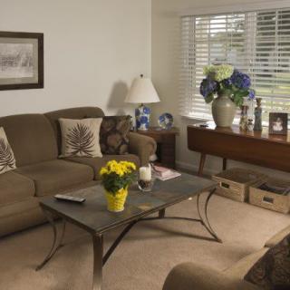 A cozy living room with a brown sofa, decorated coffee table, and large window.