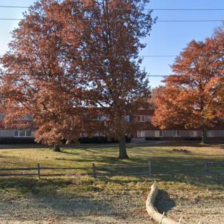 A scenic view of trees with autumn leaves in front of a building on a sunny day.