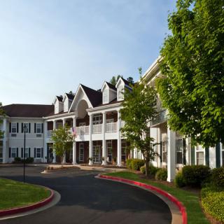 A scenic view of a large building with white exterior and green trees lining the entrance.