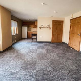 An empty apartment with an open floor plan, featuring a kitchen area and carpeted flooring in neutral tones.