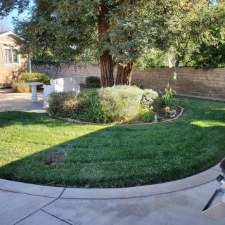 A well-maintained garden with a lush green lawn, surrounded by trees and shrubs under bright sunlight.