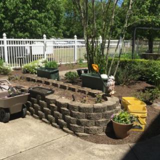 A beautifully arranged garden with raised beds and planters on a sunny patio.