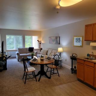 A cozy apartment living space featuring an open-plan kitchen, dining area, and a comfortable seating area with large windows.