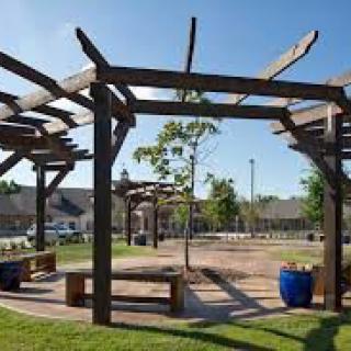 A sunny outdoor park with a wooden pergola and benches.