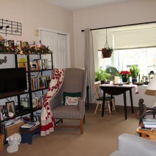 A cozy living room with a television, bookshelves, armchair, and a window with plants on a table.