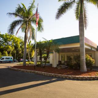 A welcoming commercial building surrounded by palm trees and sunlight.