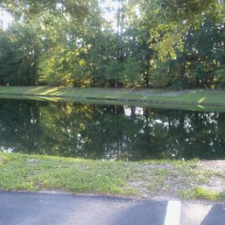 A peaceful scene by the water, reflecting the surrounding greenery.