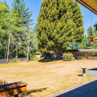 A serene outdoor view showcasing lush trees and a sunny blue sky.