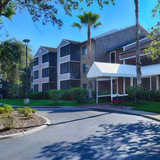 A hotel building with a landscaped entrance and palm trees lining the driveway.