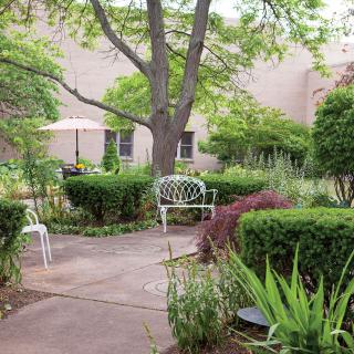 A serene garden with a bench surrounded by lush greenery and trees.