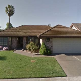A suburban house with a manicured front lawn and a palm tree.