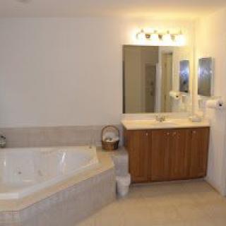 A spacious bathroom featuring a large bathtub and a vanity with a mirror and lighting.