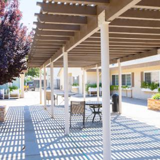 A well-lit outdoor space featuring a pergola, furniture, and landscaped trees, casting distinct shadows on the ground.