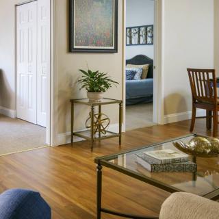 A cozy living room with wooden floors, featuring a coffee table, plant, and artwork on the wall.