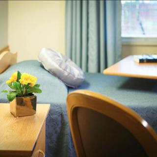 A hospital room with a bed, table, and a flower pot.