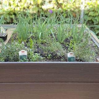 A planter box filled with a variety of herbs and vegetables.