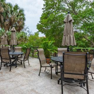 An outdoor patio with tables, chairs, and umbrellas surrounded by lush greenery.