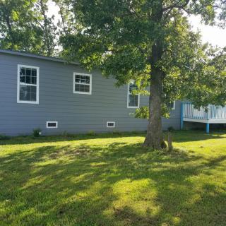A sunny yard with a tree next to a gray house.