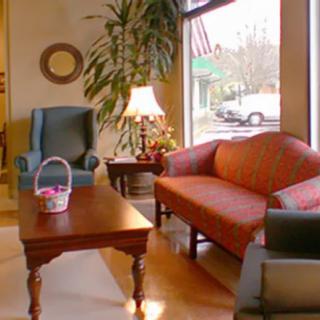 A cozy living room with a sofa, armchair, and coffee table by the window, featuring a decorative indoor plant and a warm lamp.