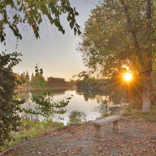 A serene sunset over a lake, framed by trees with a bench nearby.