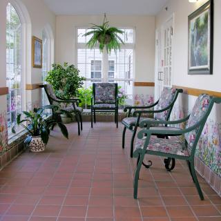 A sunlit waiting room with chairs and plants.