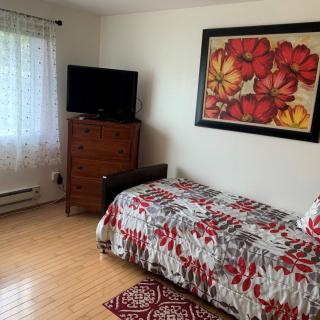 A cozy bedroom with a single bed adorned with floral bedding, a television on a dresser, and a large floral painting on the wall.