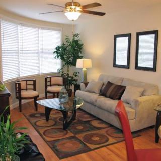 A cozy living room with a sofa, chairs, and a coffee table, adorned with plants and decorative items.