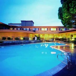 An inviting hotel swimming pool illuminated in the evening.