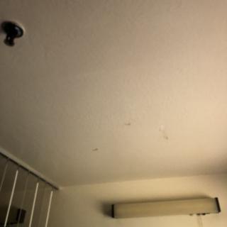 A view of a ceiling featuring a vent and a light fixture.