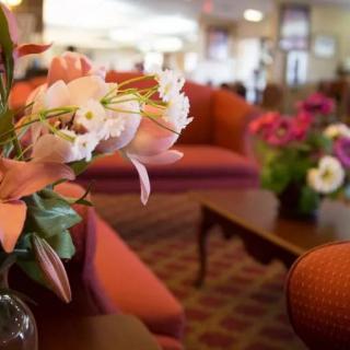 A cozy lounge area featuring vibrant floral arrangements and comfortable seating.