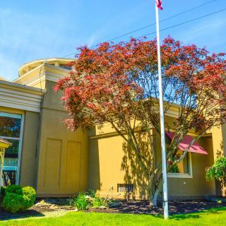 A modern building with a large tree and flagpole in the foreground on a sunny day.