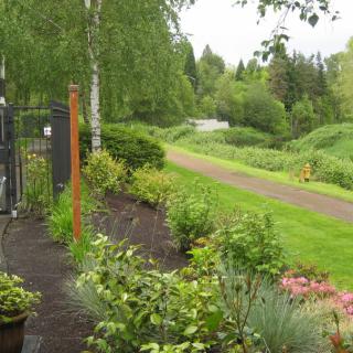 A serene garden with a lush pathway surrounded by trees and plants.