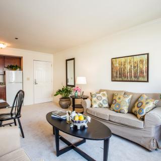 A cozy living room featuring a sofa with patterned cushions, a coffee table with decor, and wall art in a bright apartment.