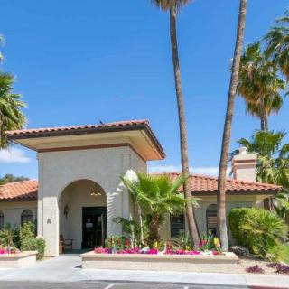 A sunny day at a building entrance surrounded by palm trees.