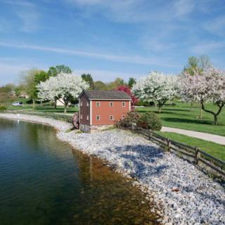 A tranquil lakeside scene with a small red cabin surrounded by blossoming trees and a pathway.